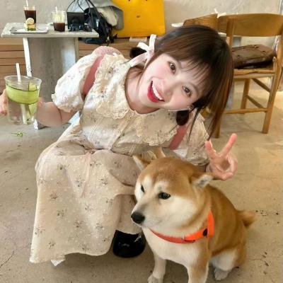 江户盗贼团五叶