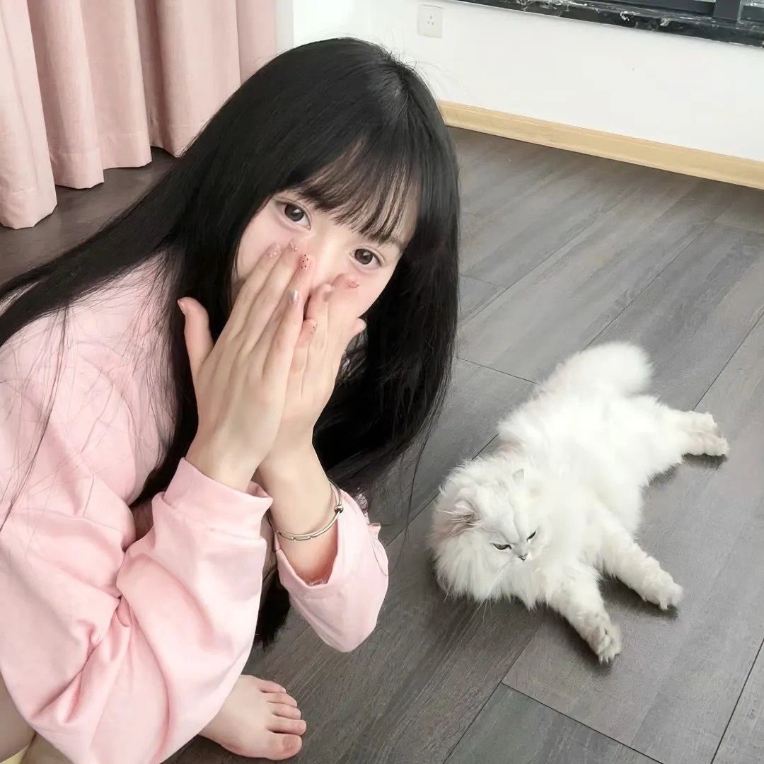 无敌铁金刚对恶魔人